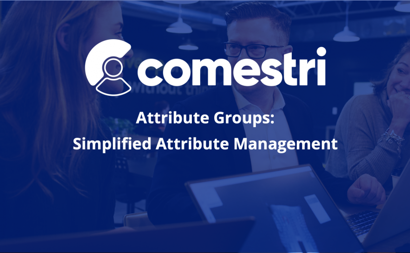Attribute Groups – Easier Attribute Management